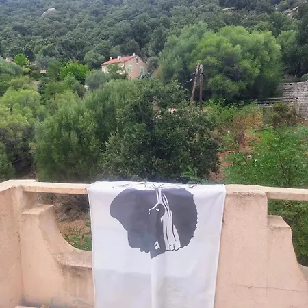 Corse *