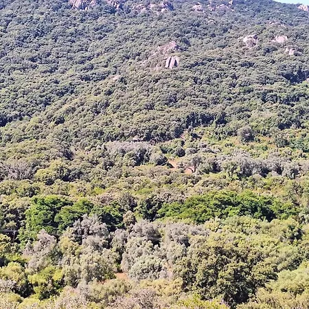 Corse Sartène